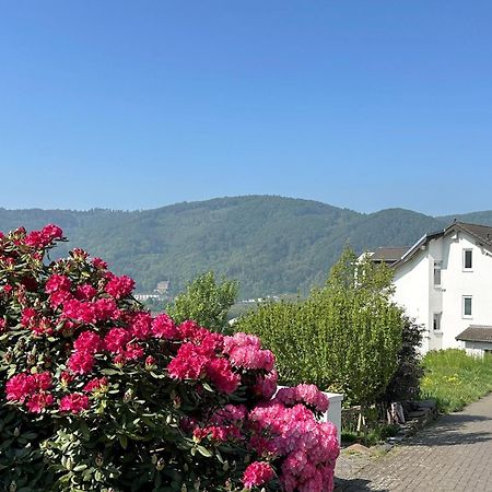 Ferienwohnung Rhein-Panorama 라한슈타인 외부 사진