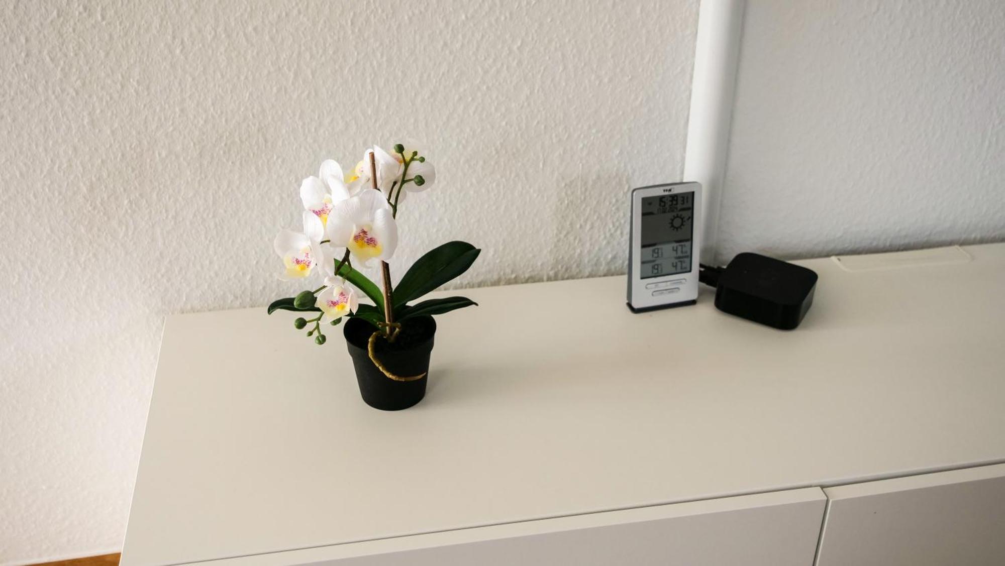 Ferienwohnung Rhein-Panorama 라한슈타인 외부 사진